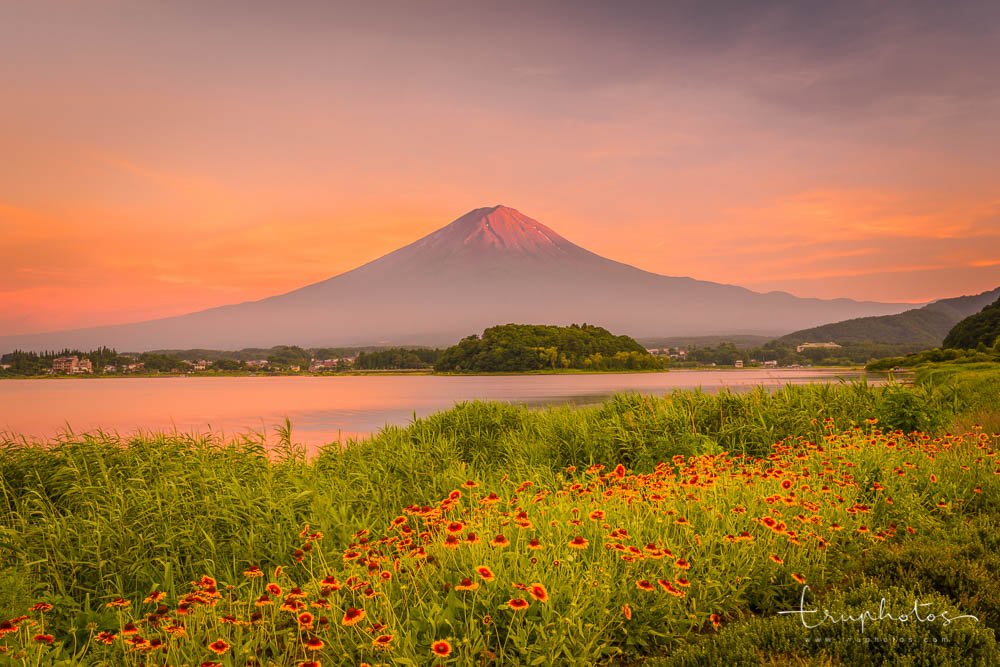 Sunset at Mount Fuji, Lake Kawaguchi, Yamanashi, Japan