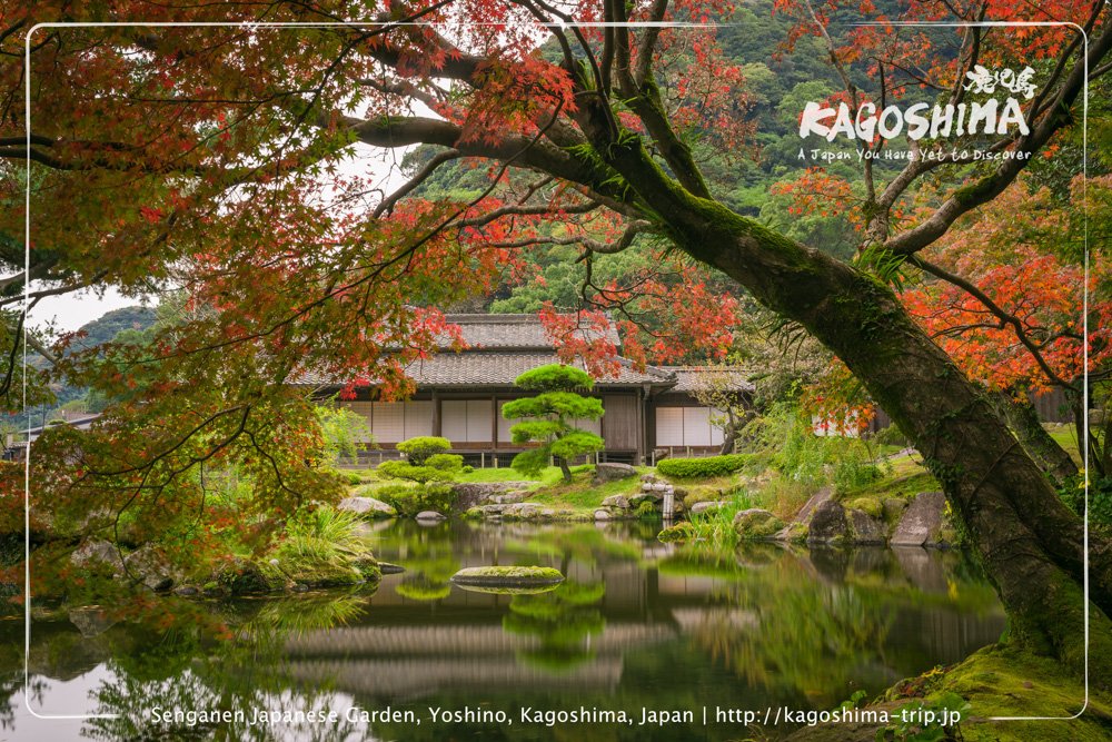 Autumn leaves at Senganen Japanese Garden, Kagoshima, Japan